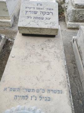 תמונת מצבה