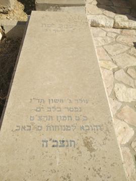 תמונת מצבה