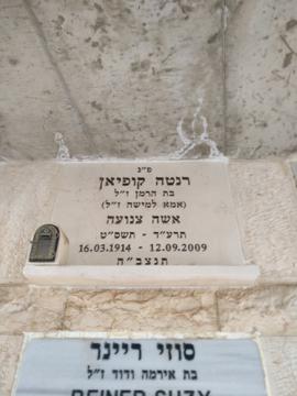 תמונת מצבה