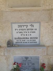 תמונת מצבה