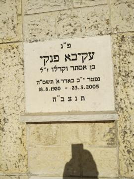 תמונת מצבה