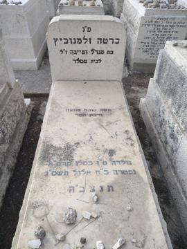 תמונת מצבה