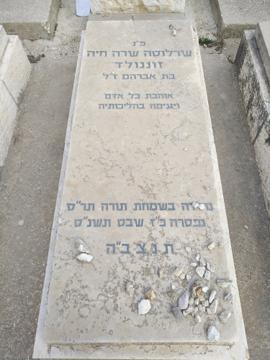 תמונת מצבה