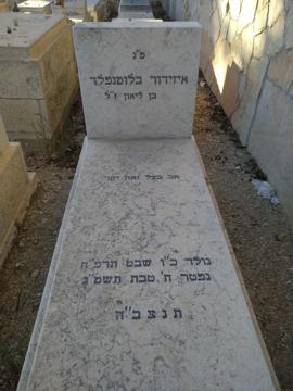 תמונת מצבה