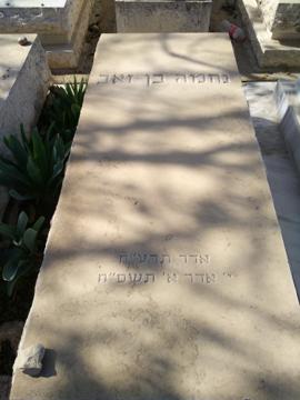 תמונת מצבה