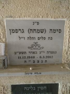 תמונת מצבה
