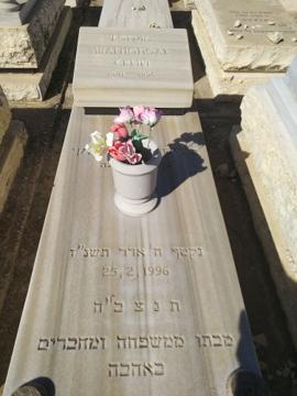 תמונת מצבה