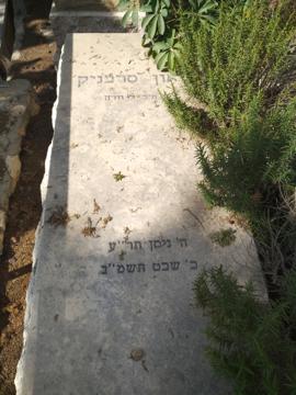 תמונת מצבה