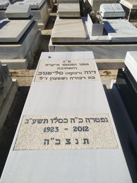 תמונת מצבה