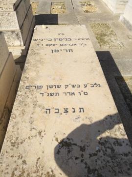 תמונת מצבה