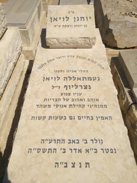 תמונת מצבה