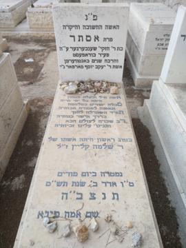 תמונת מצבה