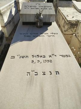 תמונת מצבה