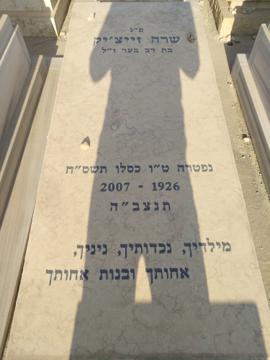 תמונת מצבה