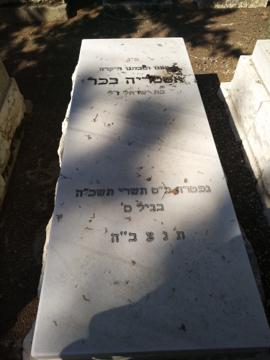 תמונת מצבה