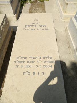 תמונת מצבה