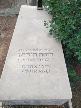 תמונת מצבה