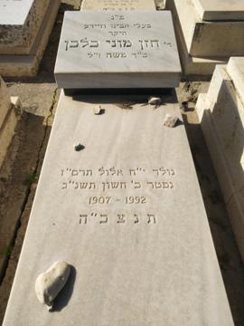 תמונת מצבה