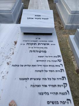 תמונת מצבה