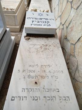 תמונת מצבה