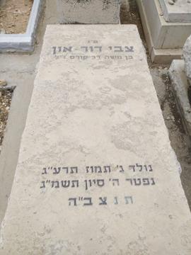 תמונת מצבה