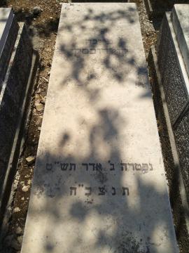 תמונת מצבה