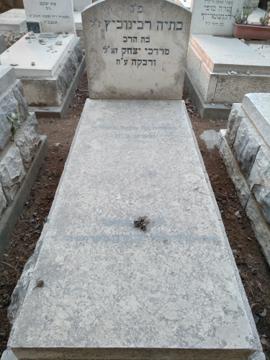 תמונת מצבה