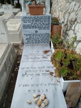 תמונת מצבה