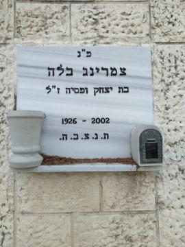 תמונת מצבה