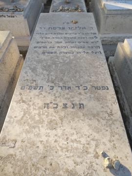 תמונת מצבה