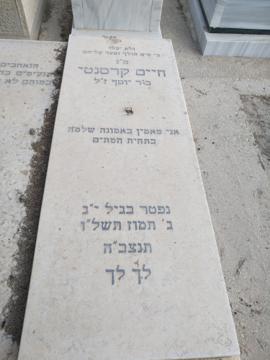 תמונת מצבה