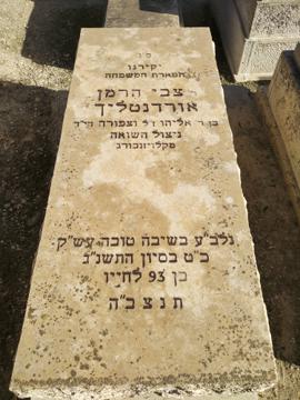 תמונת מצבה