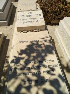 תמונת מצבה