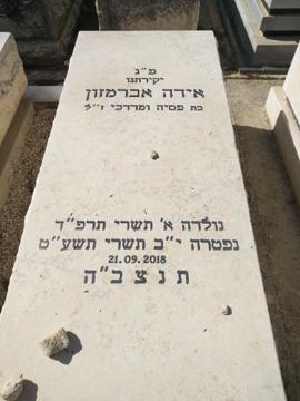 תמונת מצבה