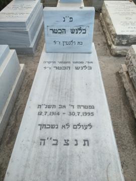 תמונת מצבה