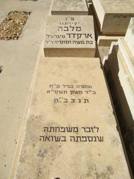 תמונת מצבה