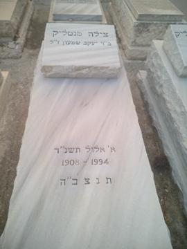 תמונת מצבה