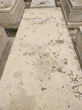 תמונת מצבה