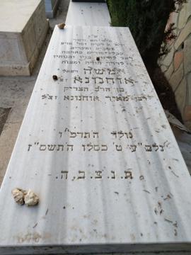 תמונת מצבה