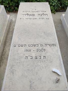 תמונת מצבה