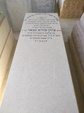 תמונת מצבה