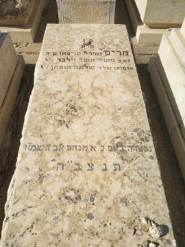 תמונת מצבה
