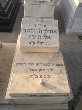 תמונת מצבה