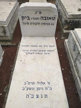 תמונת מצבה