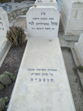 תמונת מצבה