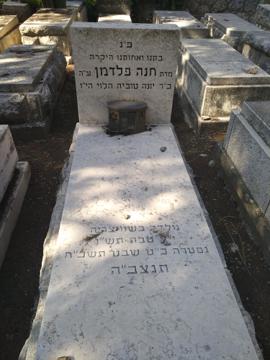 תמונת מצבה