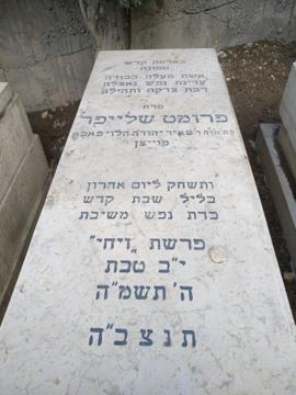 תמונת מצבה
