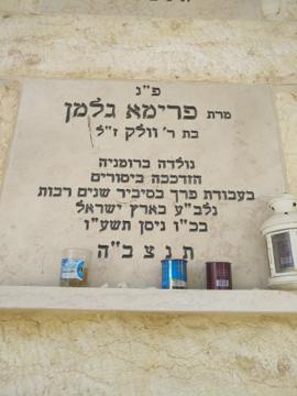 תמונת מצבה
