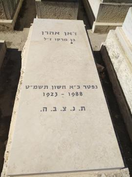 תמונת מצבה