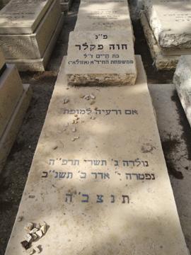 תמונת מצבה